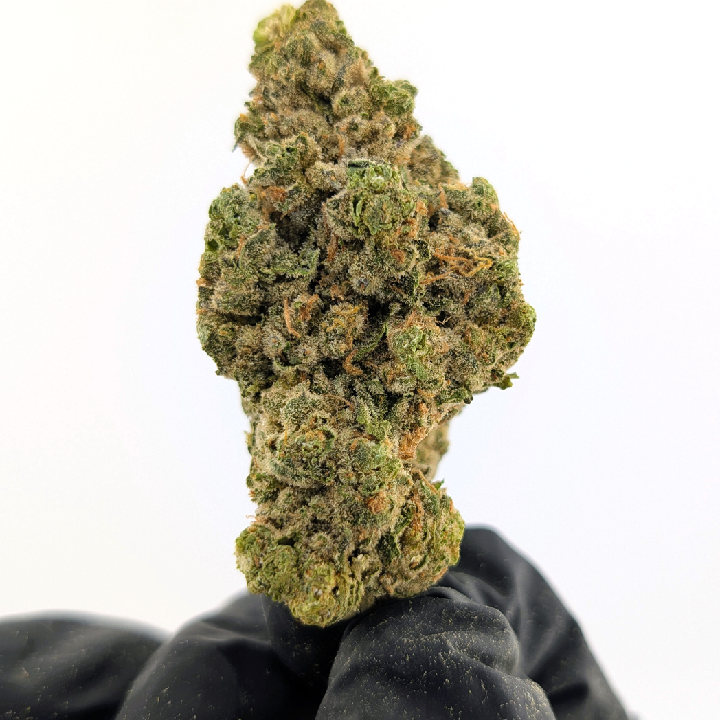 Alaskan Thunderfuck Flower