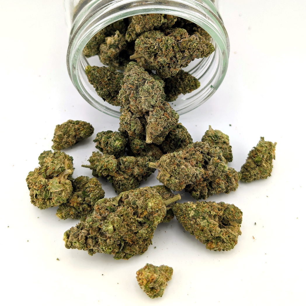 Alaskan Thunderfuck Flower