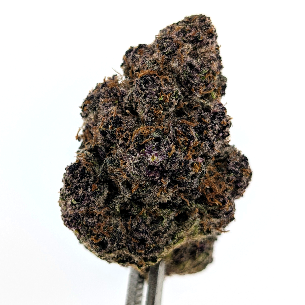 Alien Cherry Flower