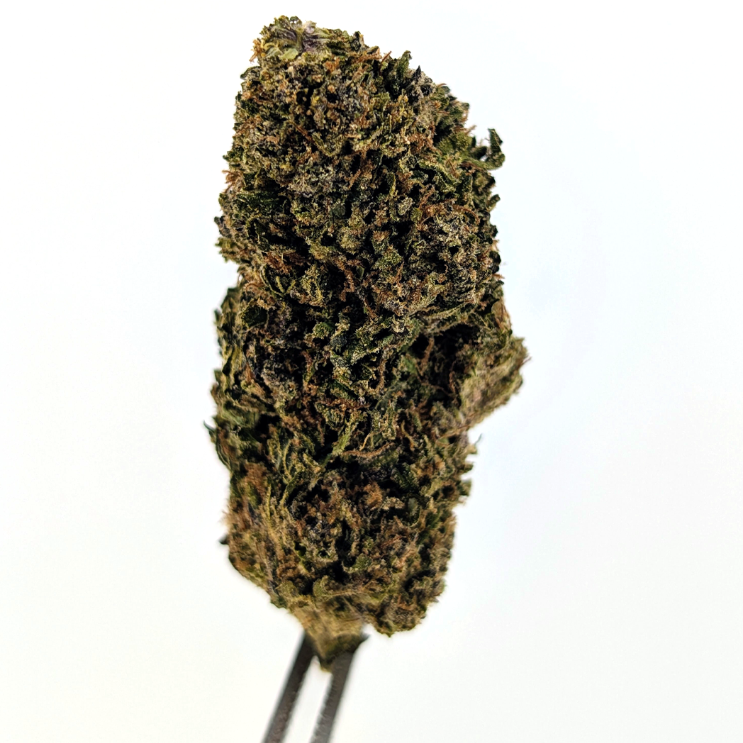Benaminals Flower