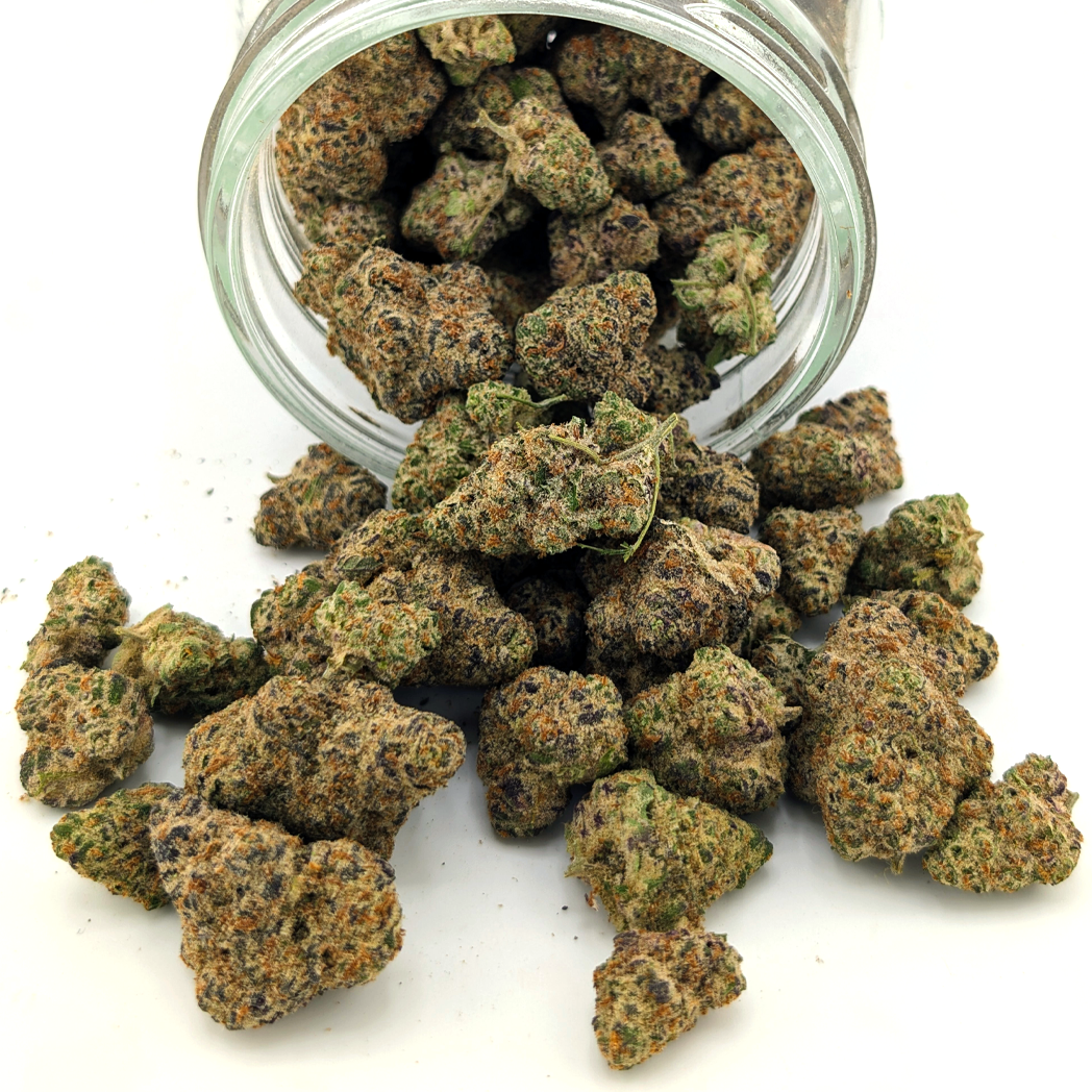 Black Diamond Flower