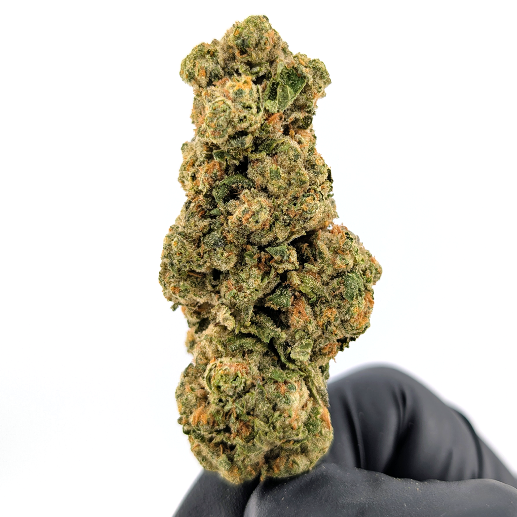 Blueberry Diesel Flower