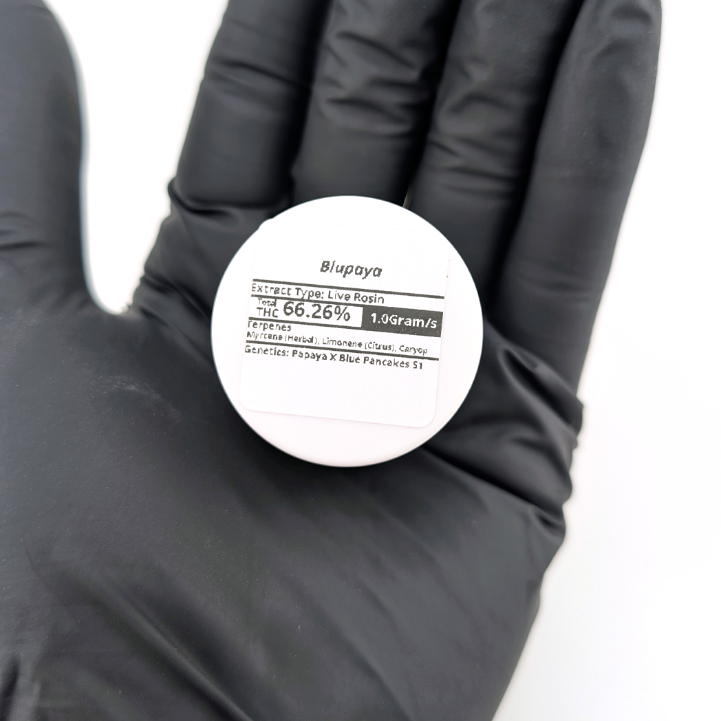 Blupaya Live Rosin Concentrate