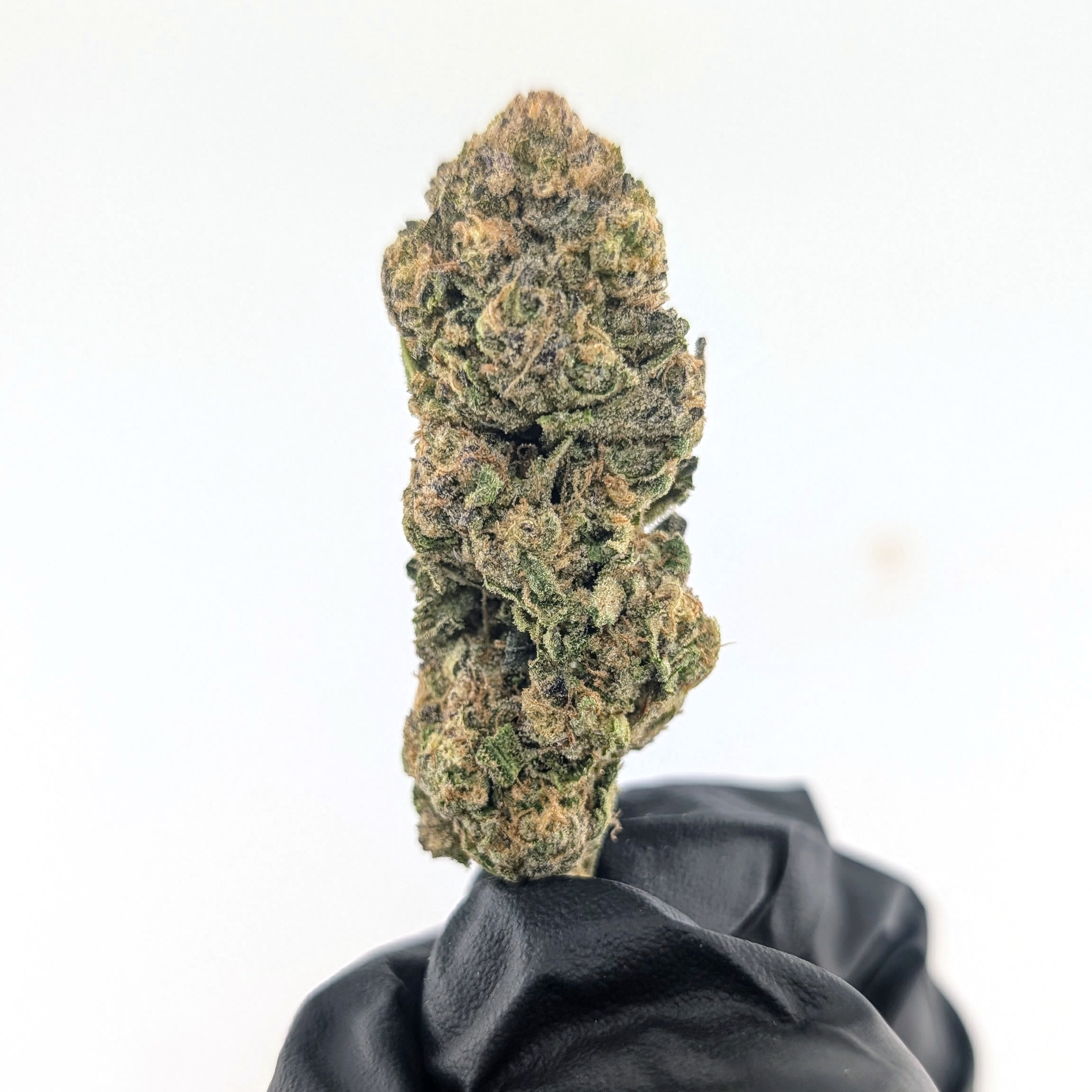Capital Kush - 25.54%- Legendary Flow