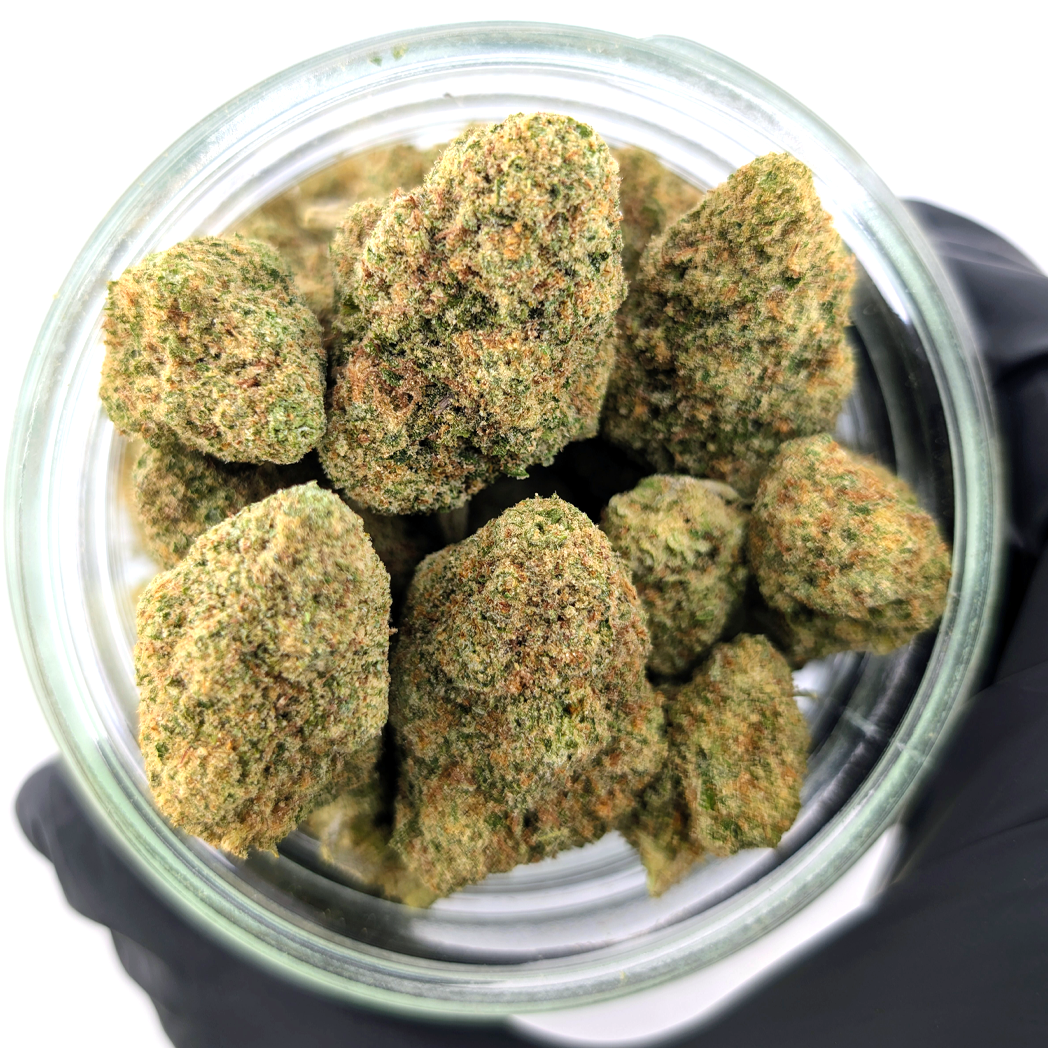 Colombian Gold Flower