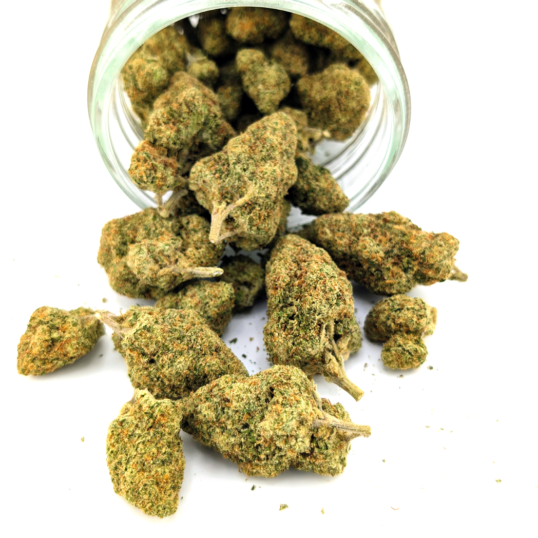 Colombian Gold Flower