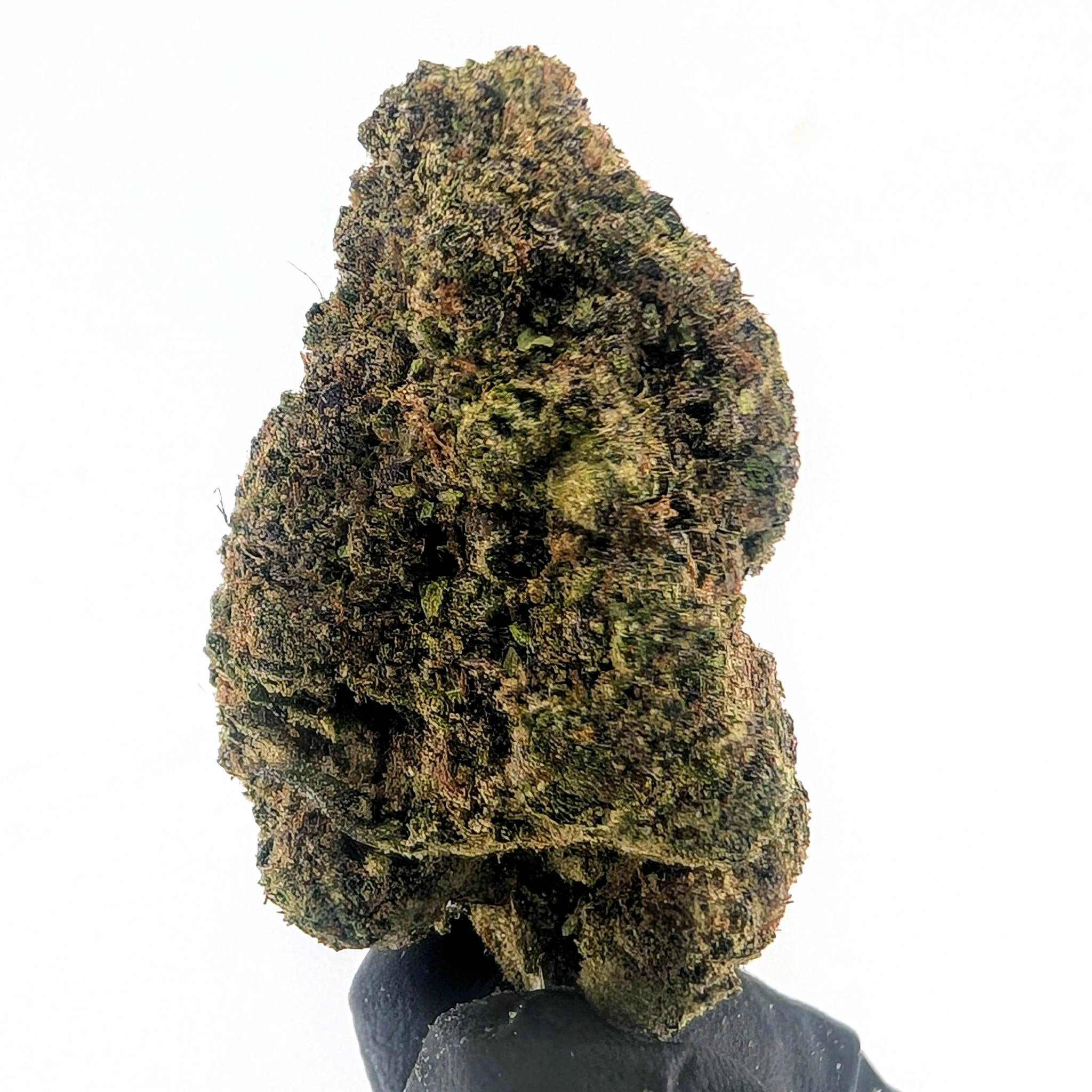 Curelato- 27.36%- Strong Flower