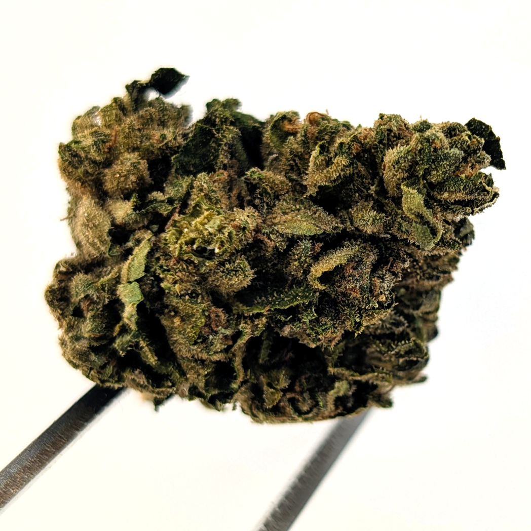 Drippin Dots Flower