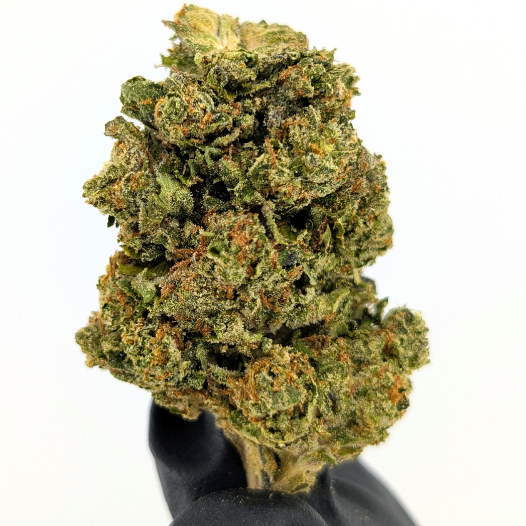 Gelato Candy - 23.70% - Exotic Flower