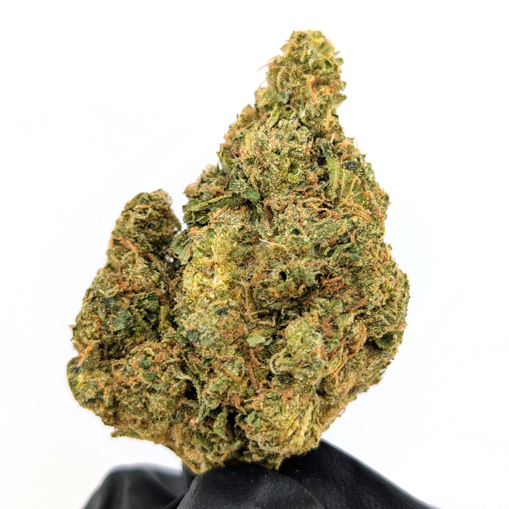 Gelato - 24.08% - Exotic Flower