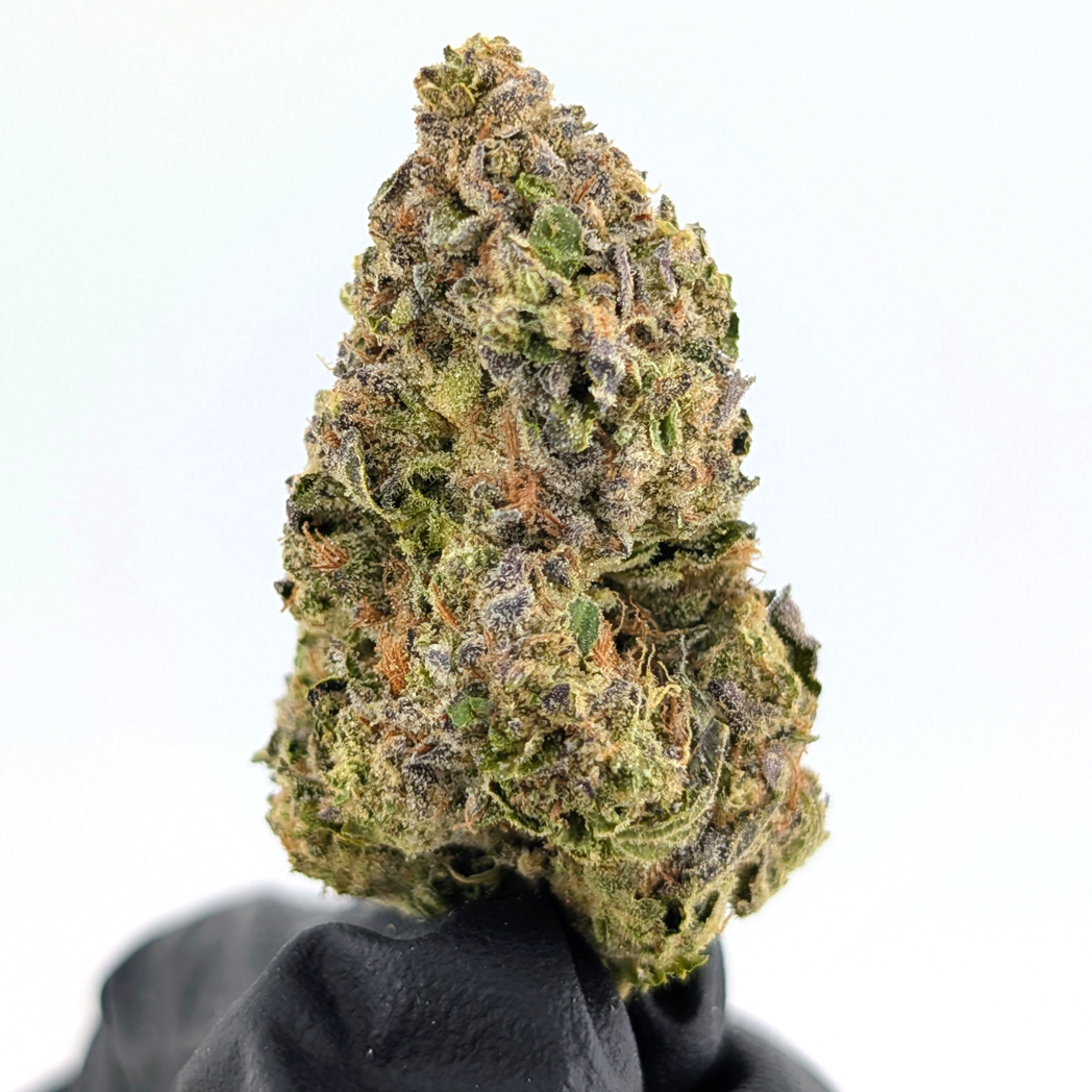Headband Flower