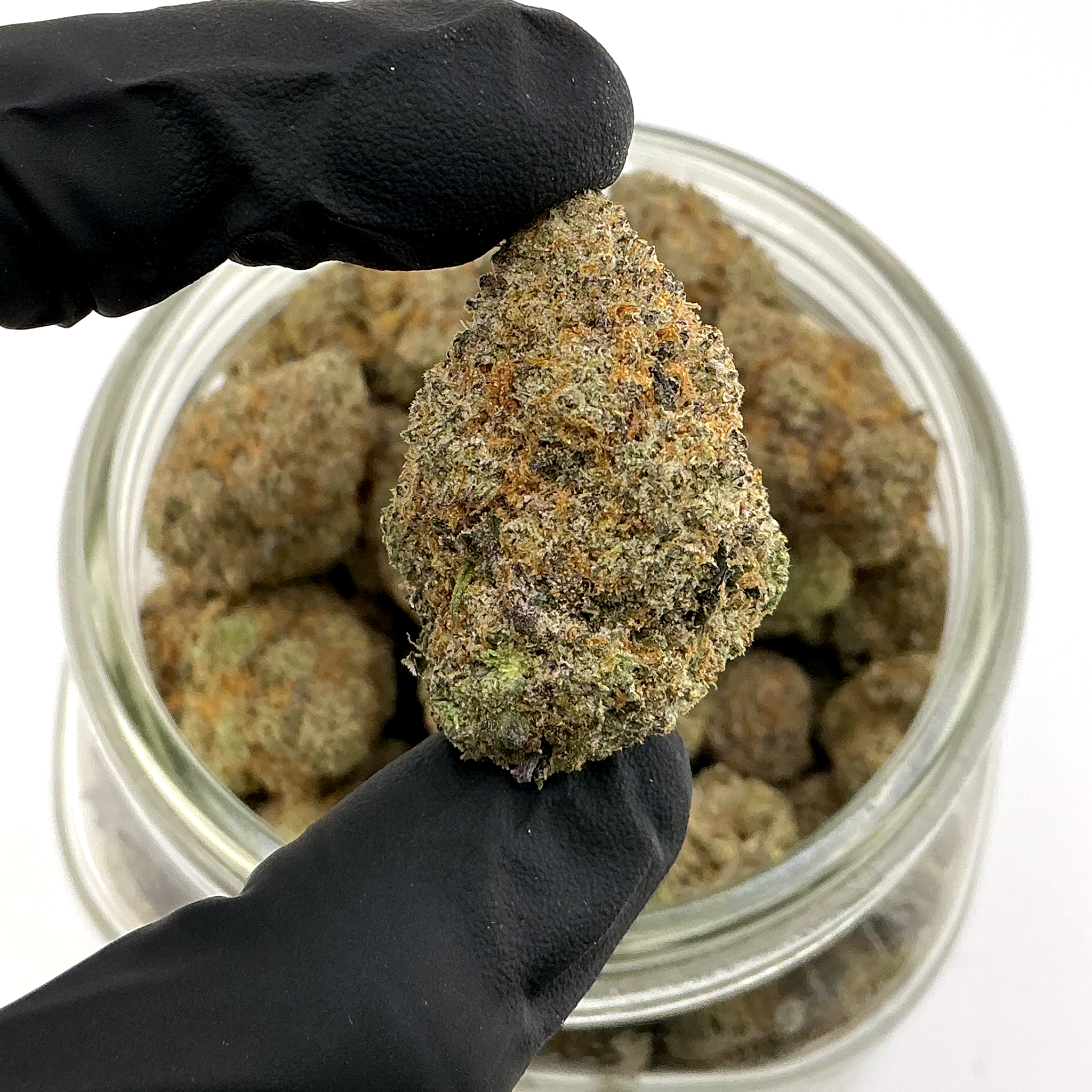 Horchata - 24.04%- Strong Flower