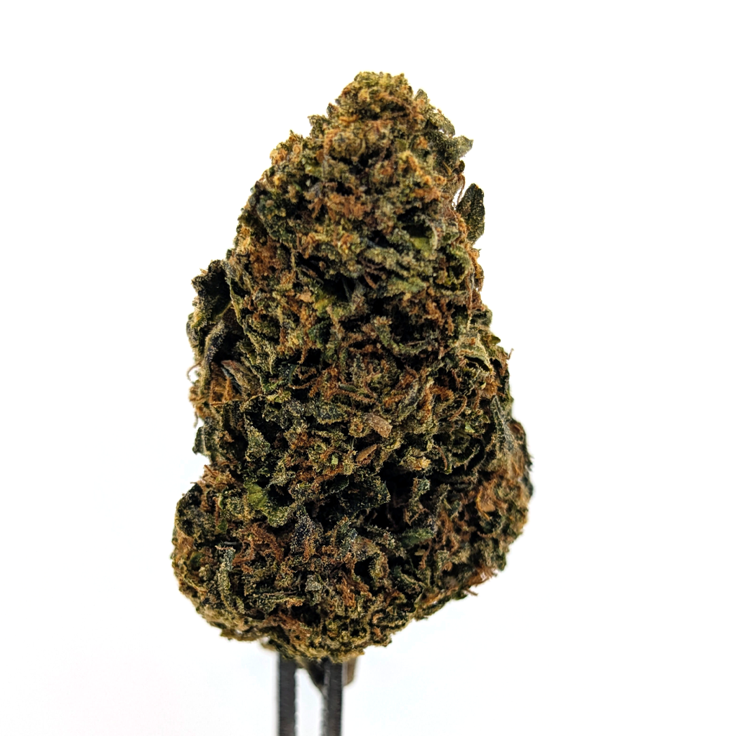 Lemon Gas Mask Flower