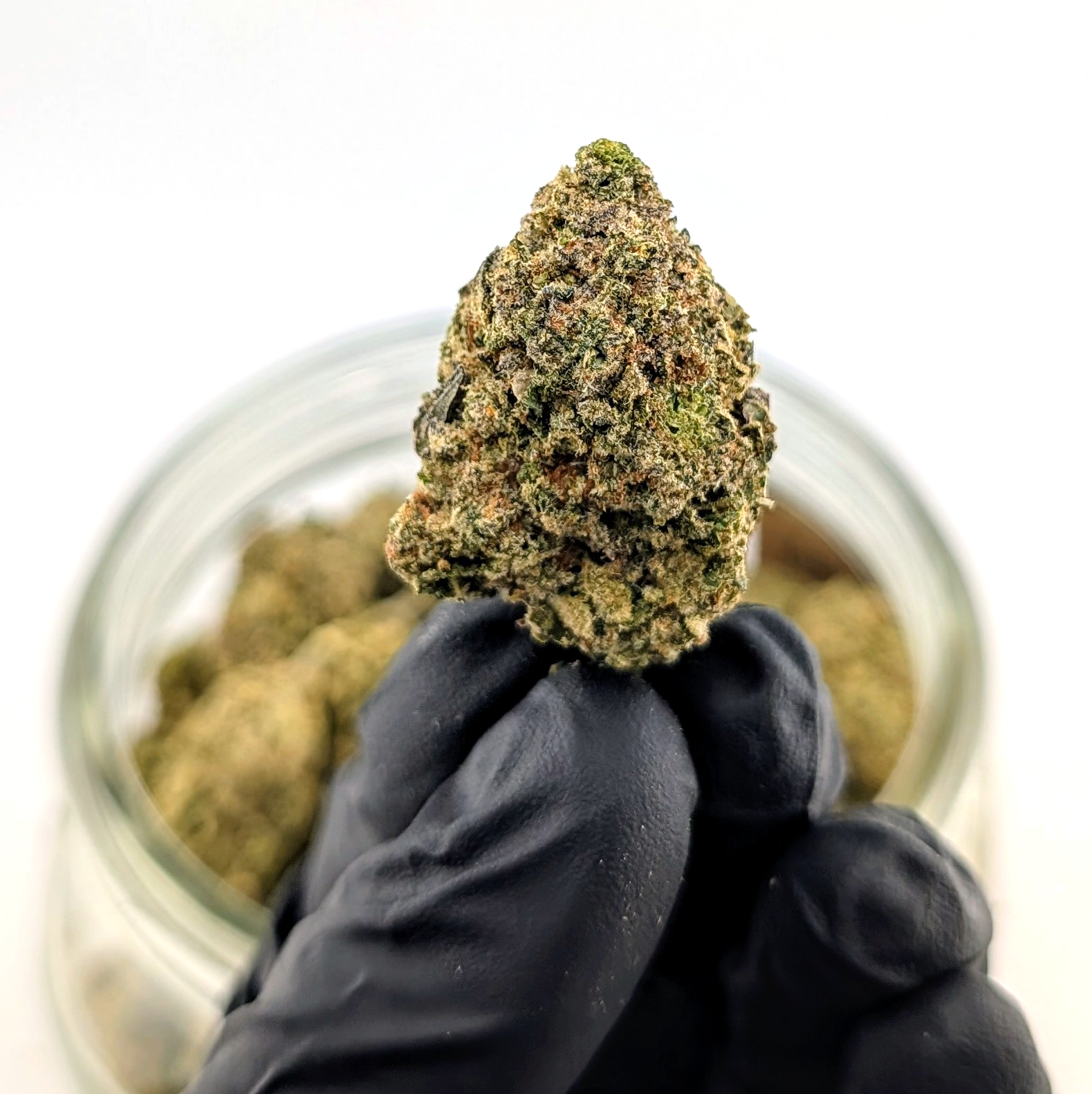 Lemon Headz- 25.90%- Exotic Flower