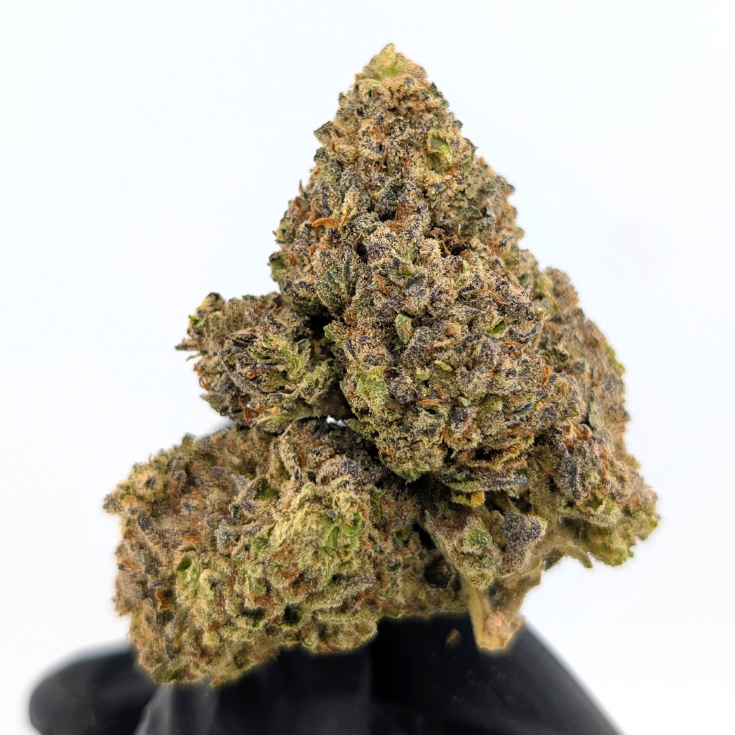 Oreoz- 31.45%- Exotic Flower