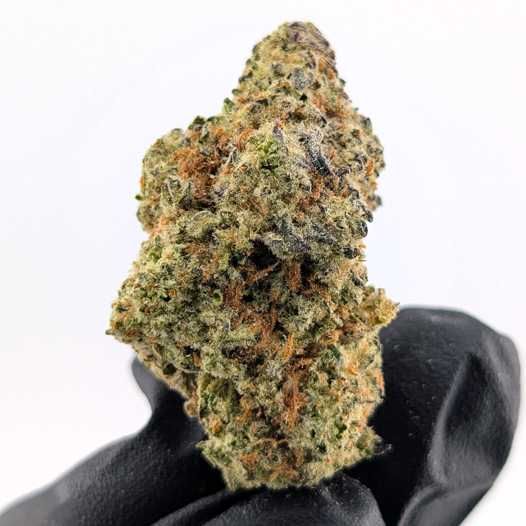 Pablo's Driver Flower