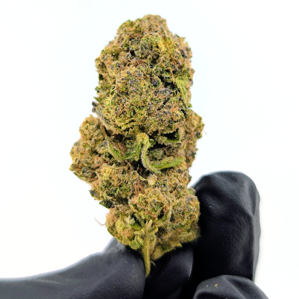 Permzilla Flower