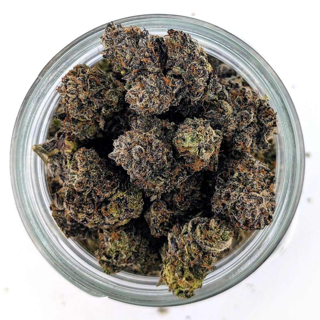 Purple Truffle Flower