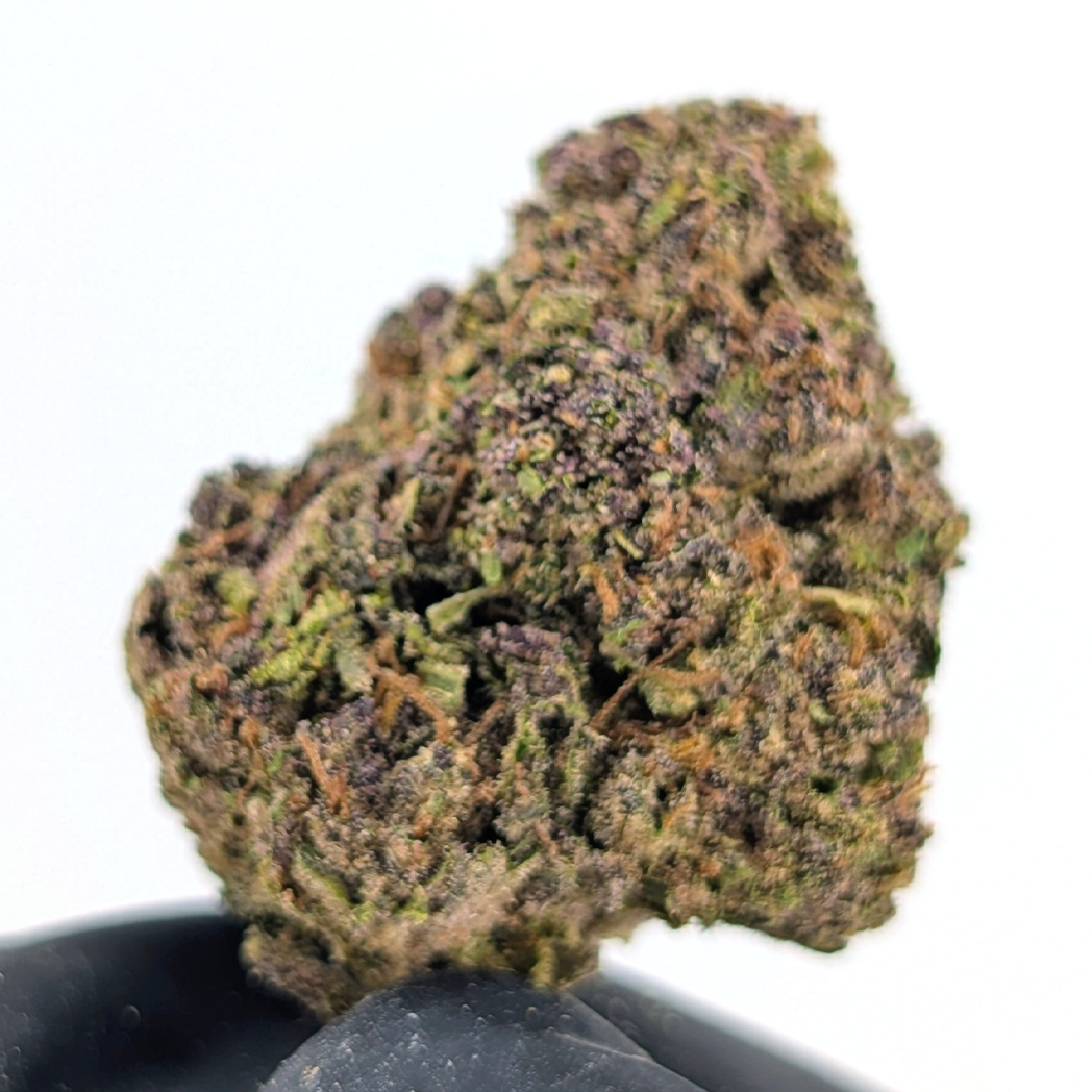 Purple Churro Flower