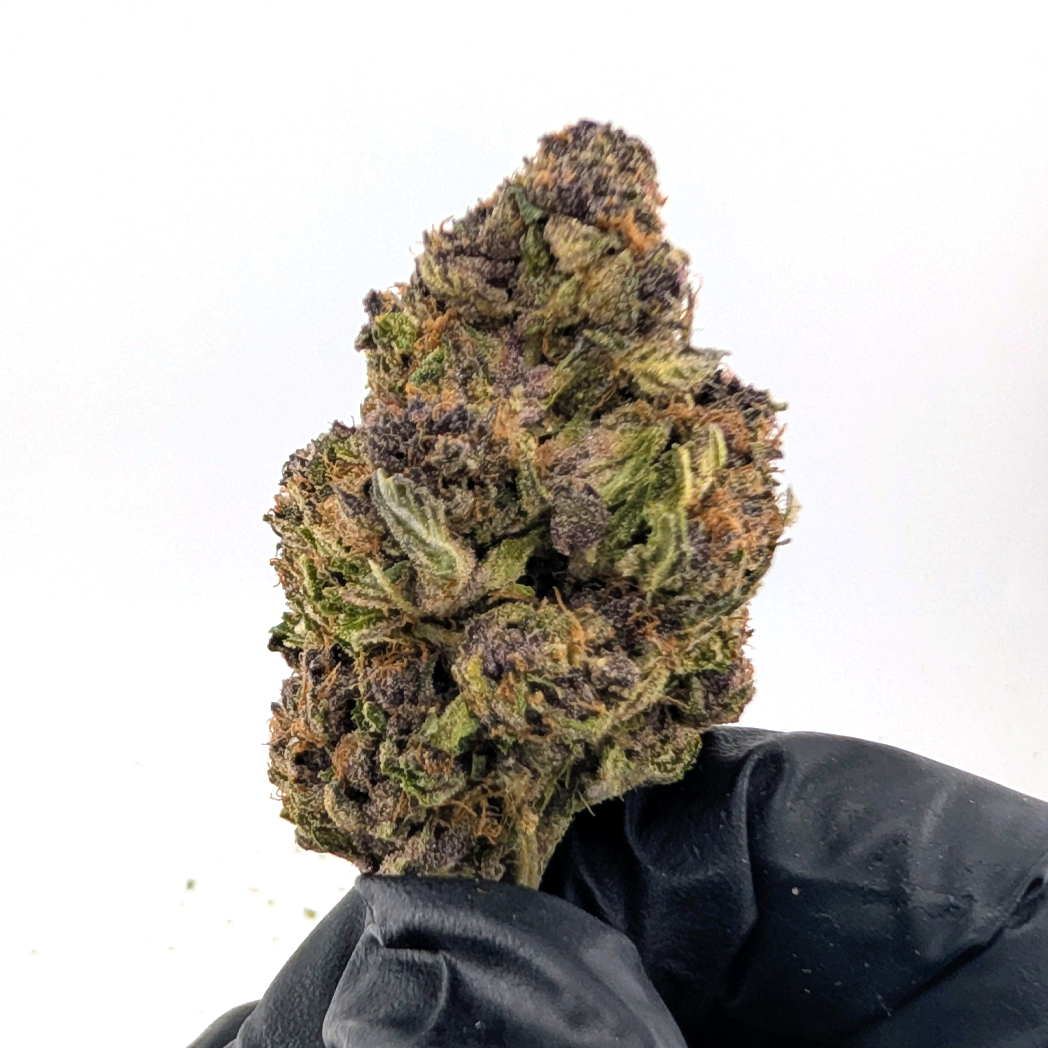 Purple Lemonade Flower