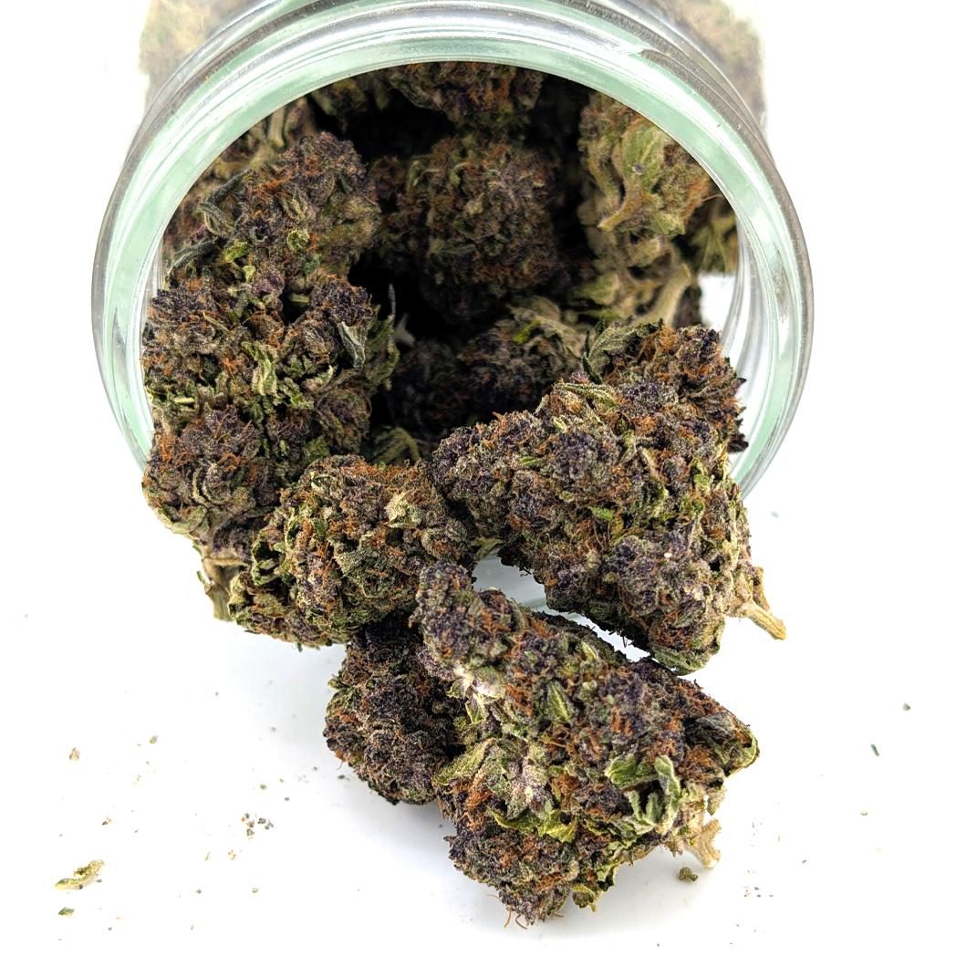 Purple Lemonade Flower