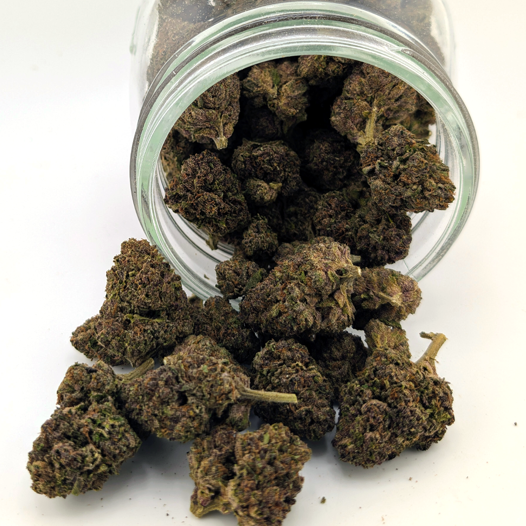 Purple Churro Flower