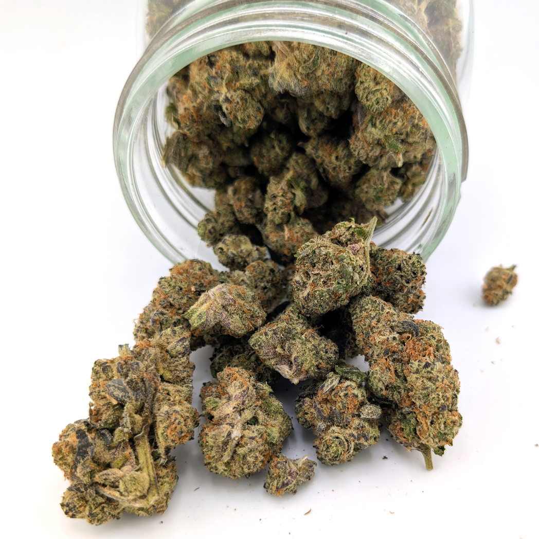 Rocky Mountain Flower