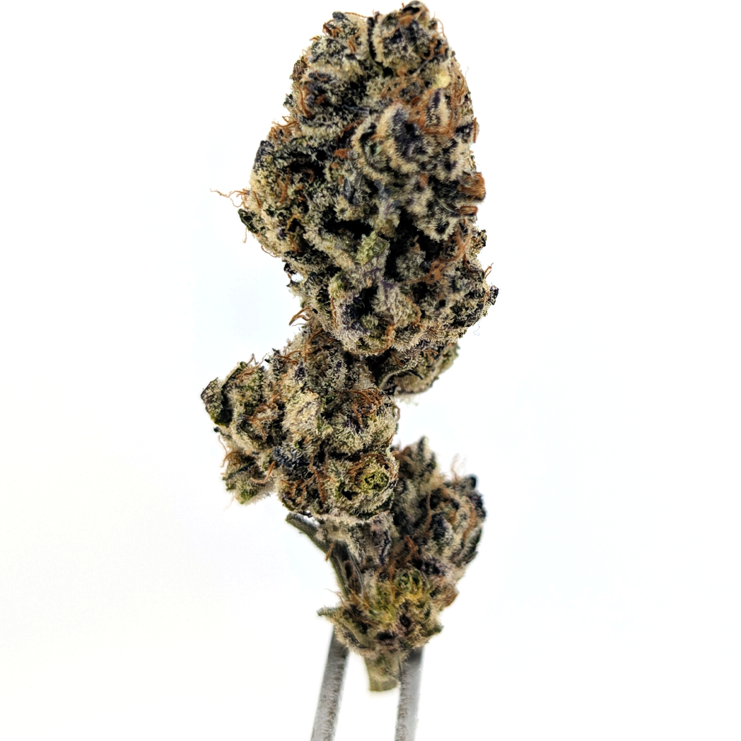 Sherbacio Flower