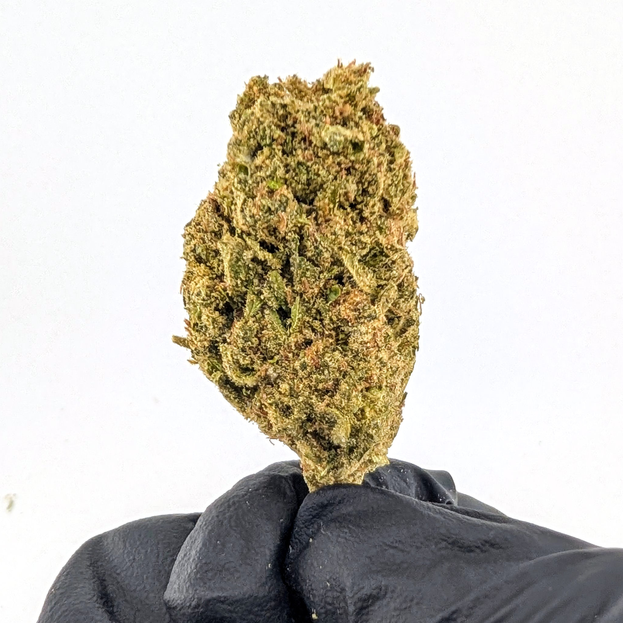 Sour Diesel - 23.56%- Strong Flower
