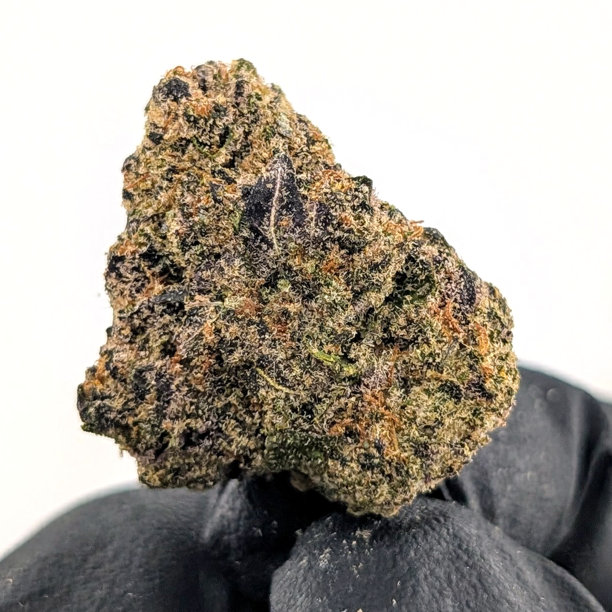 Stardawg Guava - 25.85%- Legendary Flower