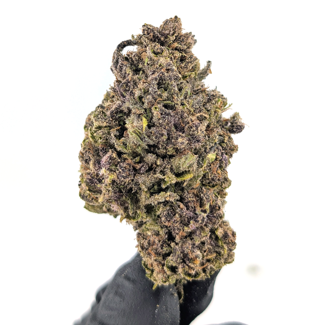 Tuscan Gelato Flower