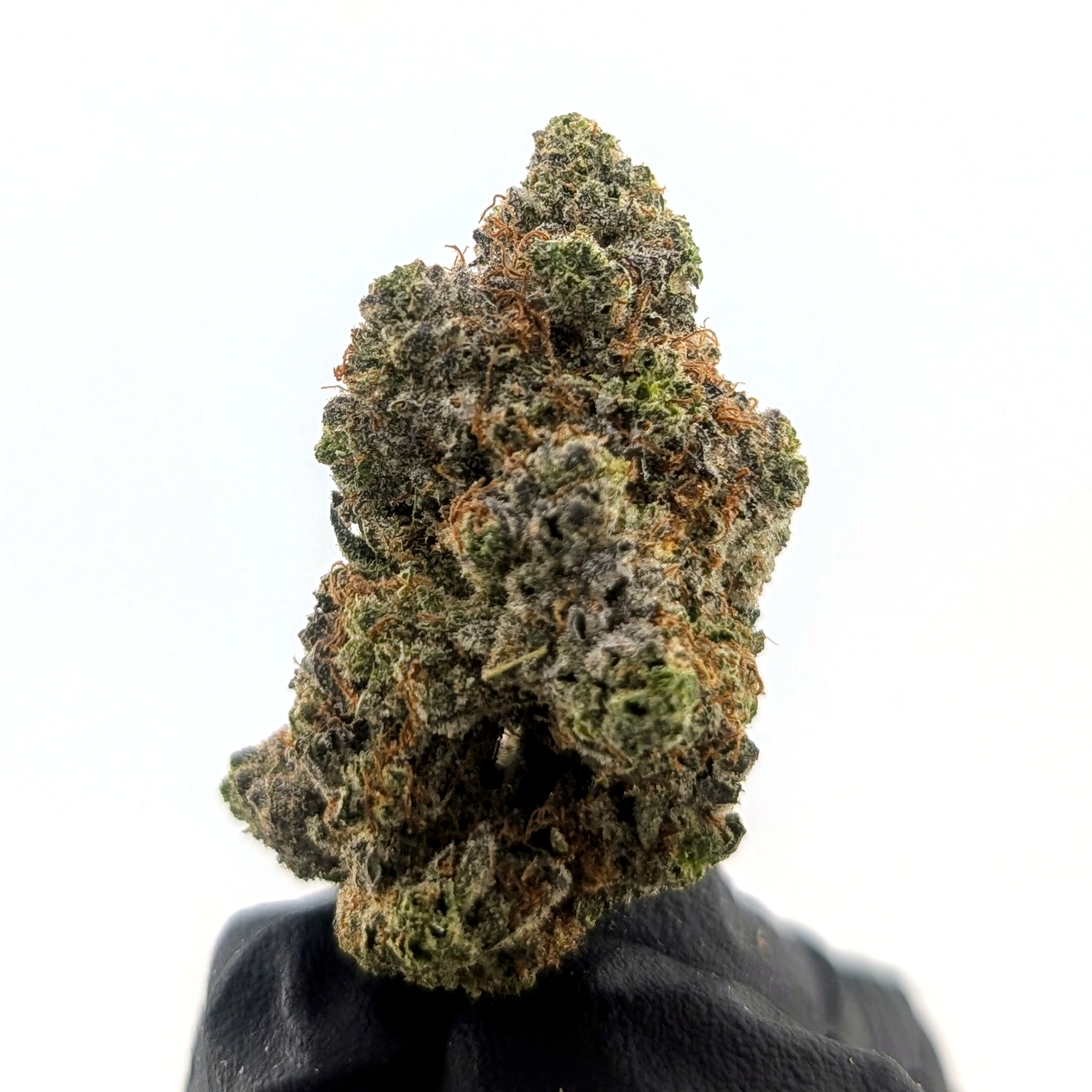 Wham Berries- 25.68%- Legendary Flower