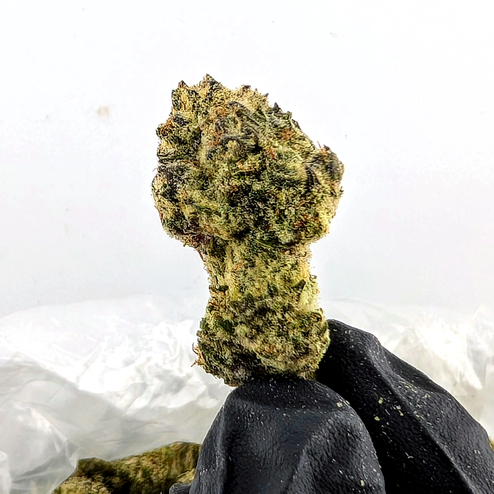 Hash Burger- 26.37%- Exotic Flower