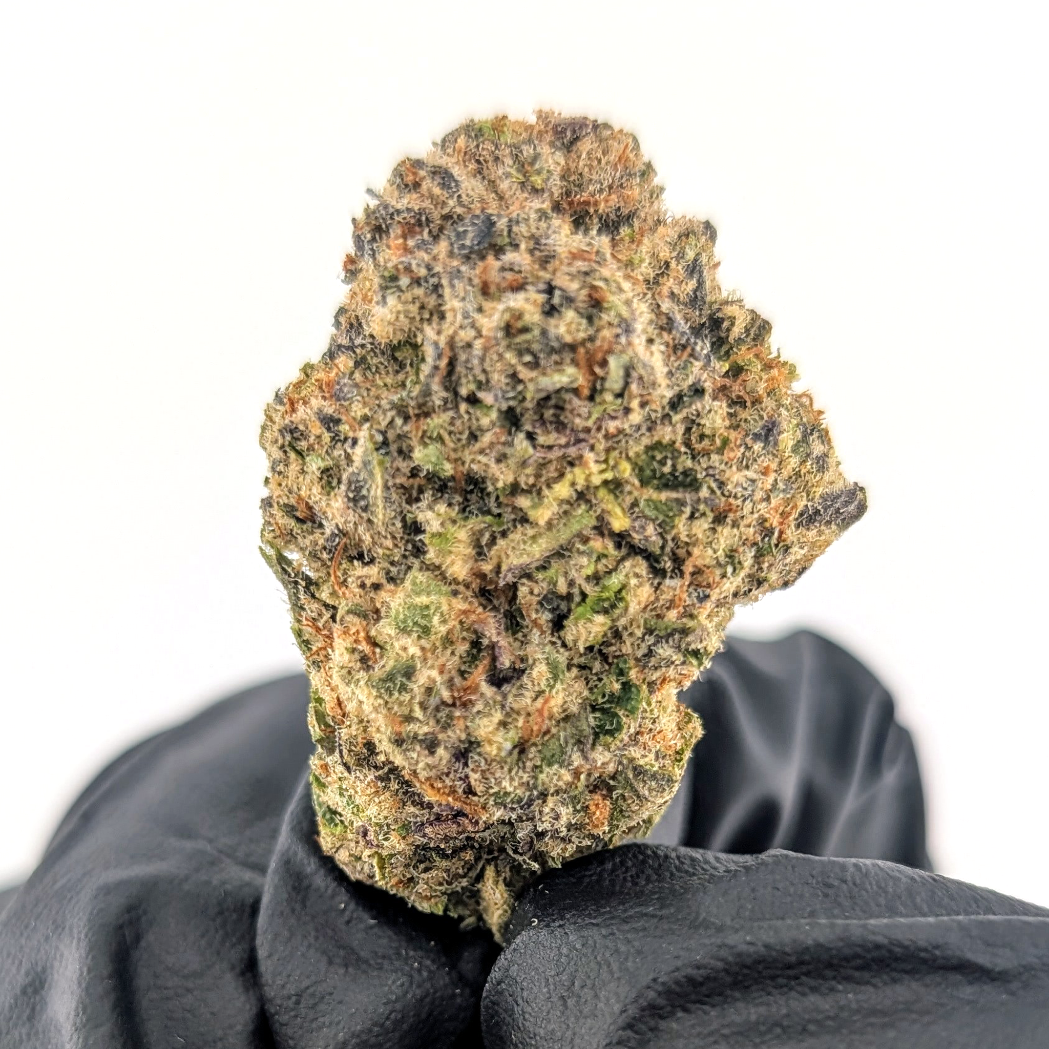 Tutti Frutti - 25.58%- Legendary Flower