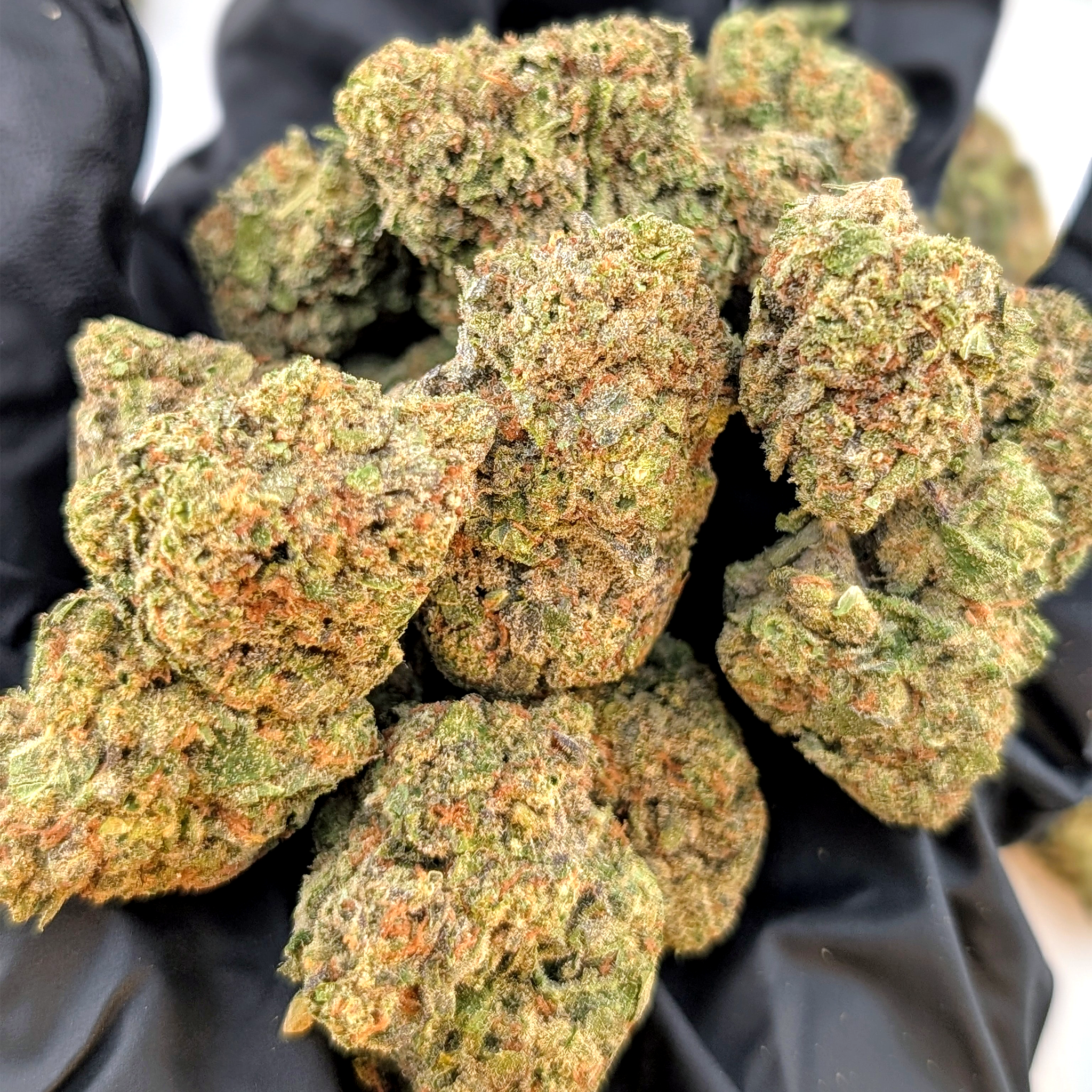 24K - 26.38% - Exotic Flower