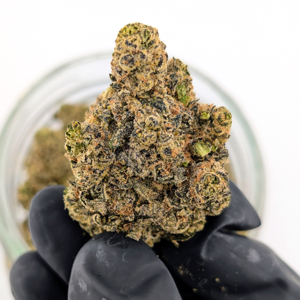 Afghan - 17.61% -  Legendary Flower