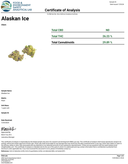 Alaskan Ice- Exotic Flower