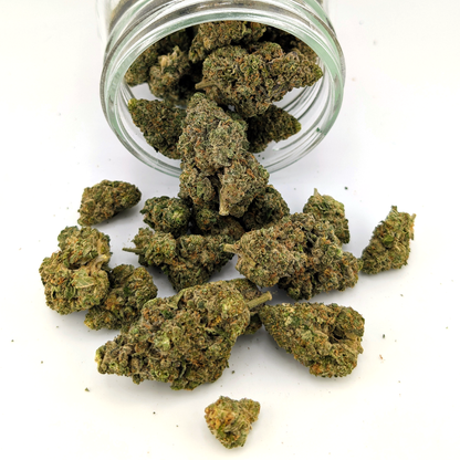 Alaskan Thunderfuck Flower