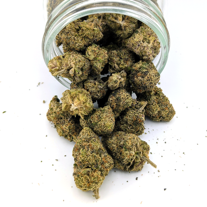 Alien Spacecraft - 25.73% - Exotic Flower