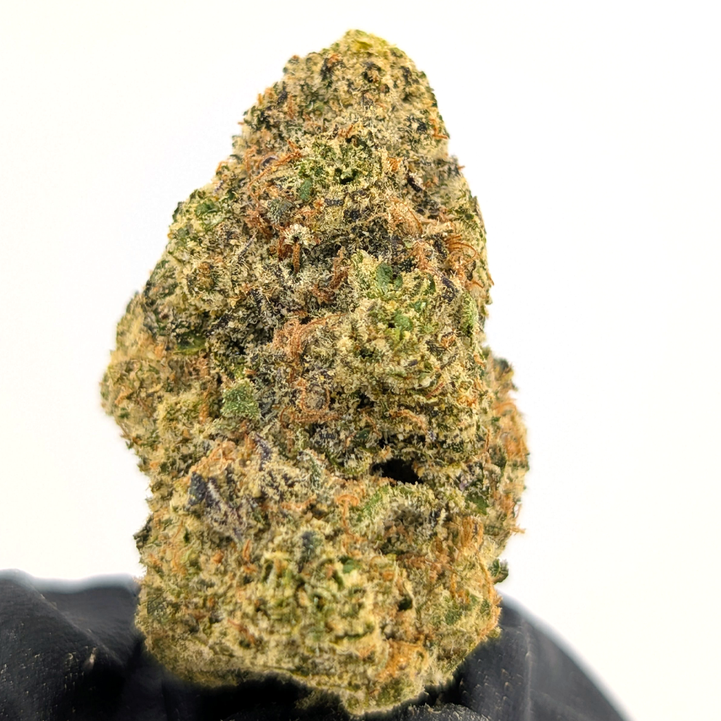 Alien Spacecraft - 25.73% - Exotic Flower