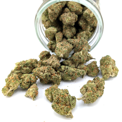 Amnesia Haze - 22.11% - Exotic Flower