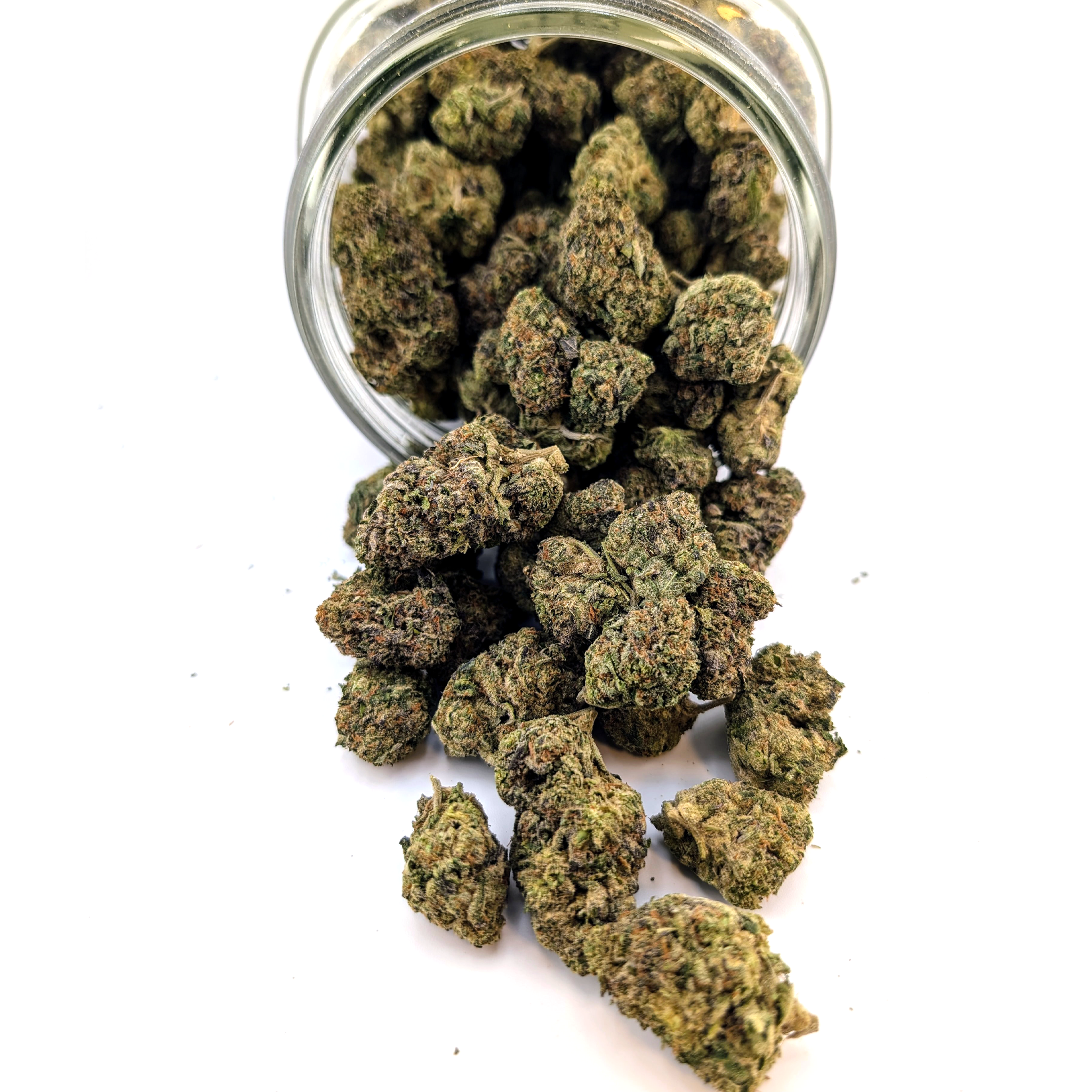 Amnesia Haze - 24.32%- Exotic Flower