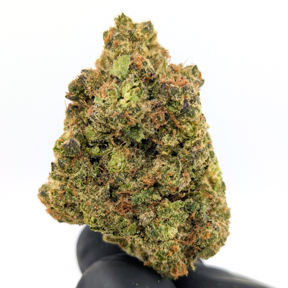 Astro Pie - 25.86%- Legendary Flower