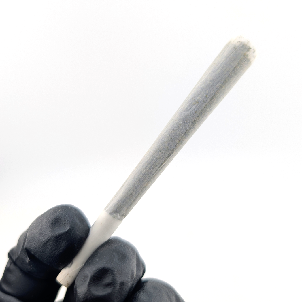 Banana Cream King Sized Flavored Pre-Roll