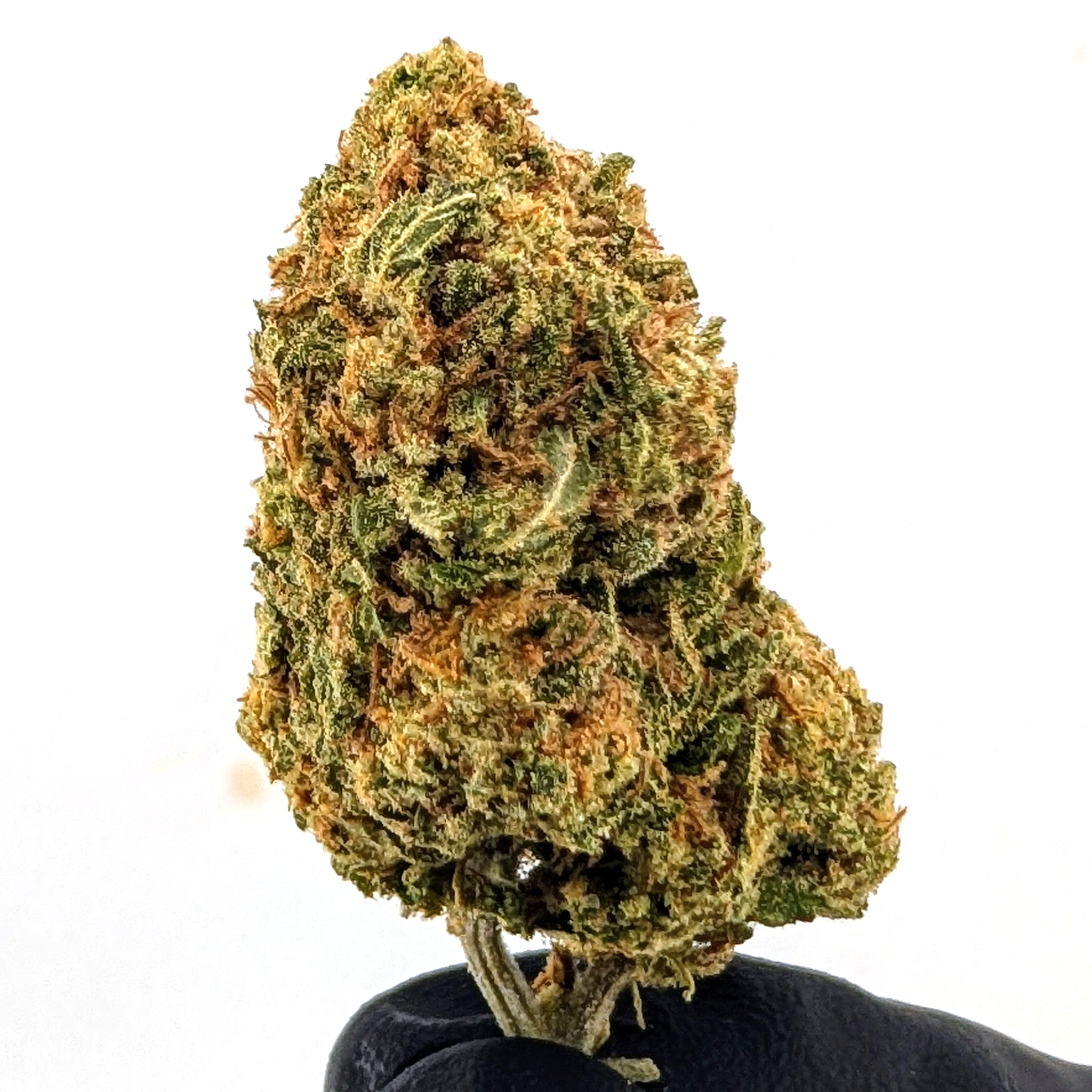 Berry Blender- 29.9%- Strong Flower