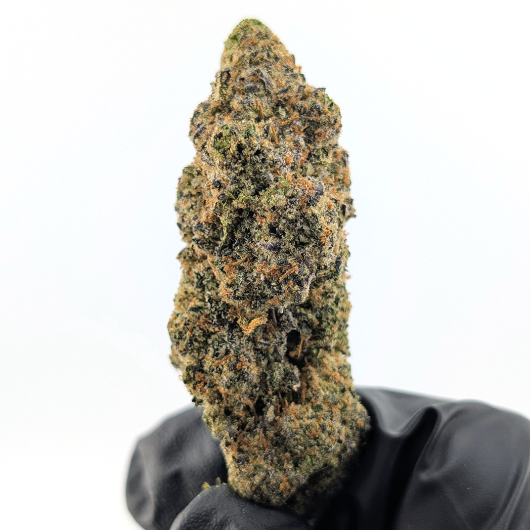 Black Cherry Flower