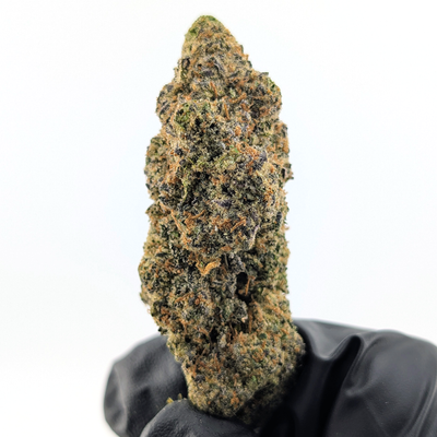 Black Cherry Flower