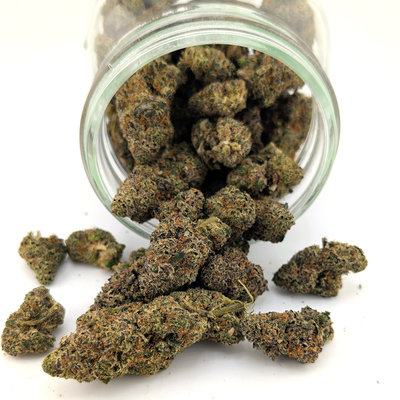 Black Cherry Flower