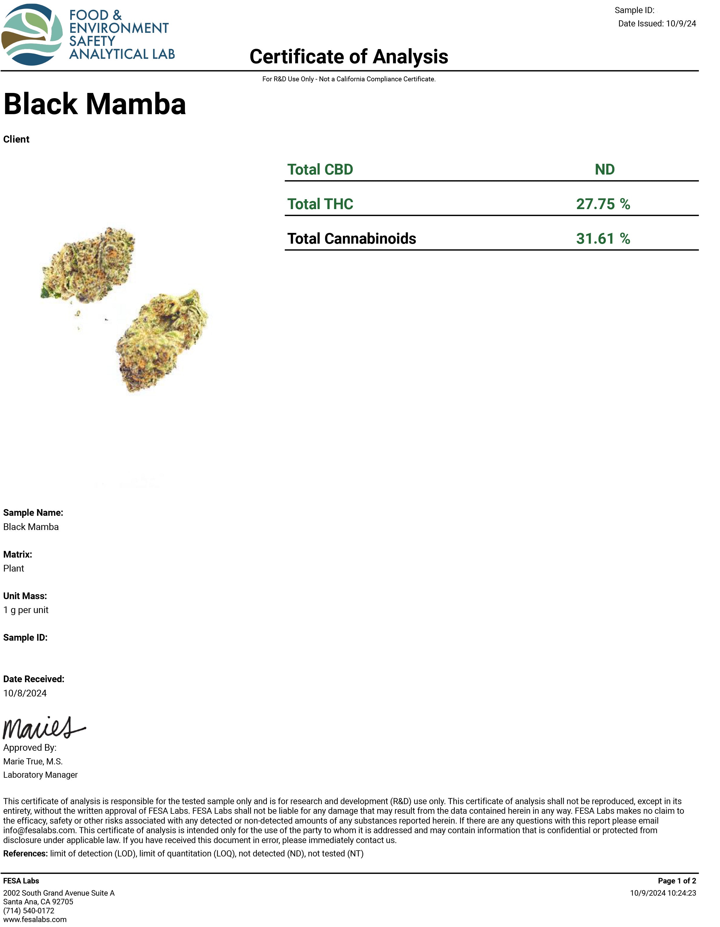 Black Mamba- 27.7%-  Exotic Flower