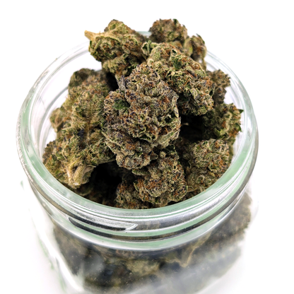 Black Maple Syrup Flower